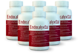 Endocalyx Pro Six Bottles